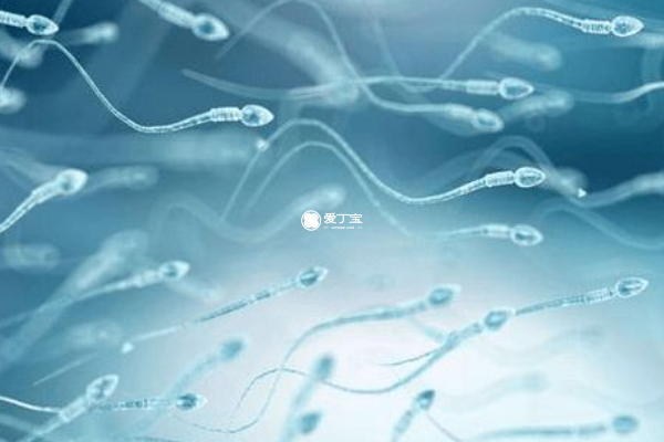排卵期同房未孕需要检测精子