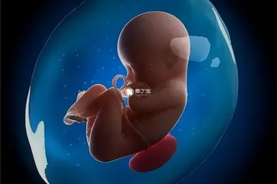 东莞东华医院有两种人工受孕技术