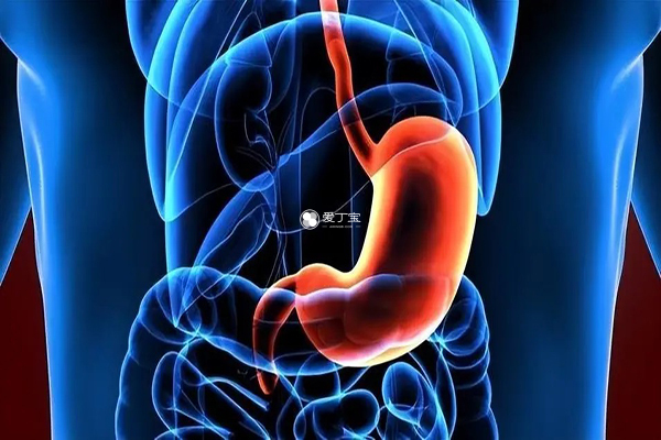 促排期间吃姜可以促进肠胃消化