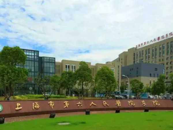 上海六院供精人工授精要多少钱